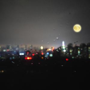 播放拔萝卜的动漫人物在线观看
